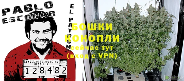 гидропоника Белокуриха