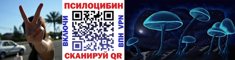 MEGA ТОР  Луховицы  Галлюциногенные грибы Cubensis 